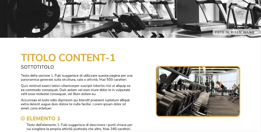 sito web palestra