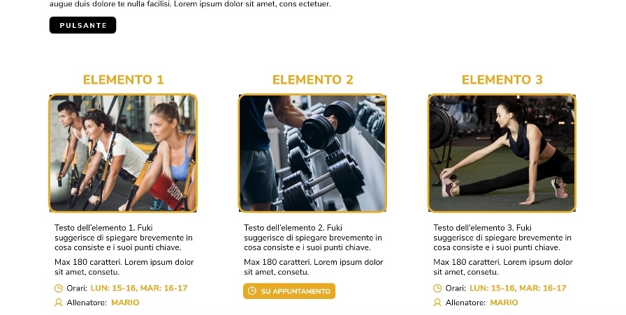 sito web palestra