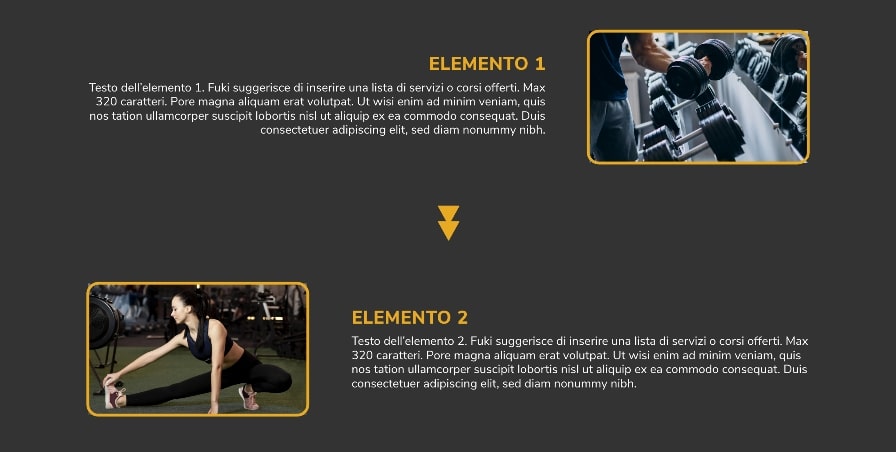 sito web palestra